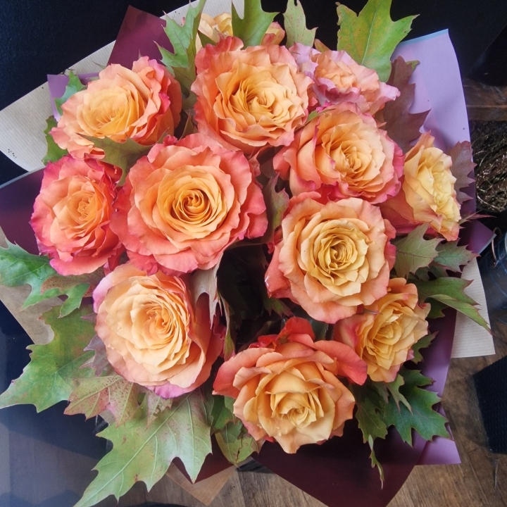Autumn Dozen Roses